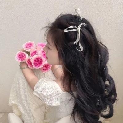 完美革命